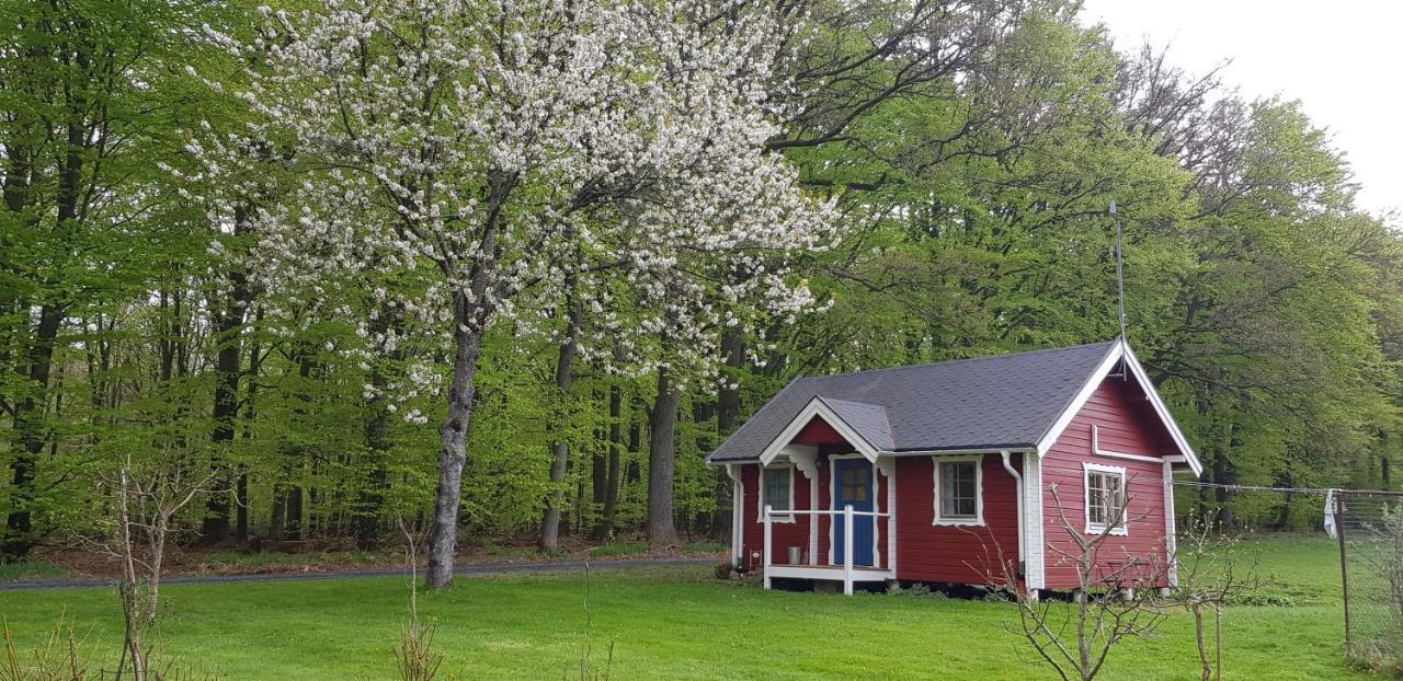 Lill Hagahus, Soederasens Nationalpark Villa Kagerod Luaran gambar