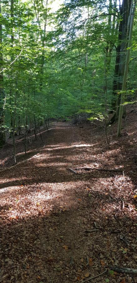 Lill Hagahus, Soederasens Nationalpark Villa Kagerod Luaran gambar