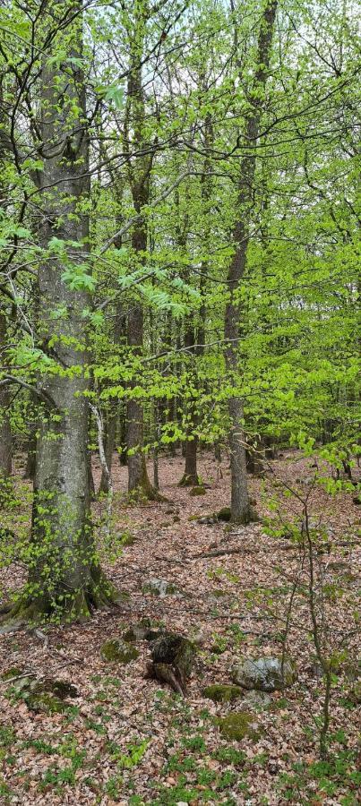 Lill Hagahus, Soederasens Nationalpark Villa Kagerod Luaran gambar